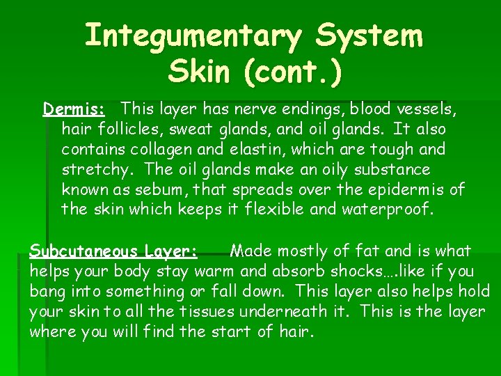 Integumentary System Skin (cont. ) Dermis: This layer has nerve endings, blood vessels, hair