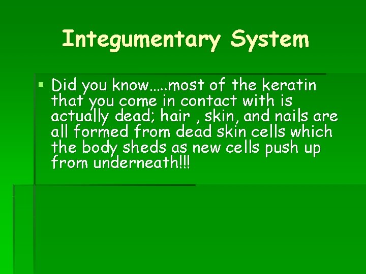 Integumentary System § Did you know…. . most of the keratin that you come