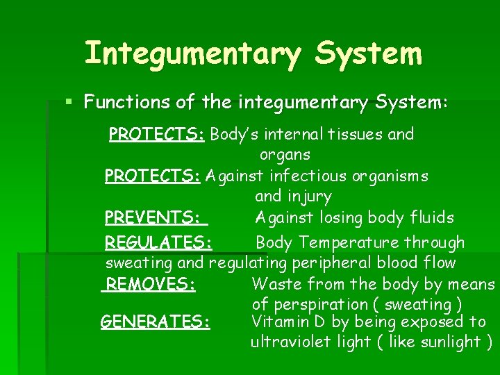 Integumentary System § Functions of the integumentary System: PROTECTS: Body’s internal tissues and organs