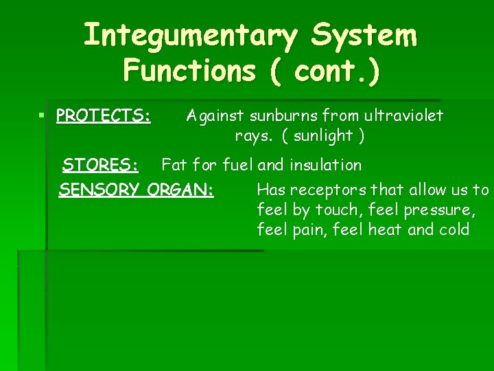 Integumentary System Functions ( cont. ) § PROTECTS: STORES: Against sunburns from ultraviolet rays.