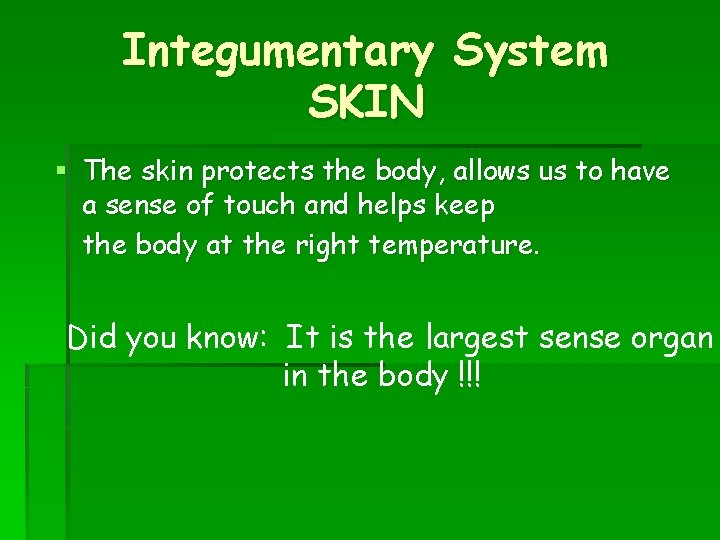 Integumentary System SKIN § The skin protects the body, allows us to have a