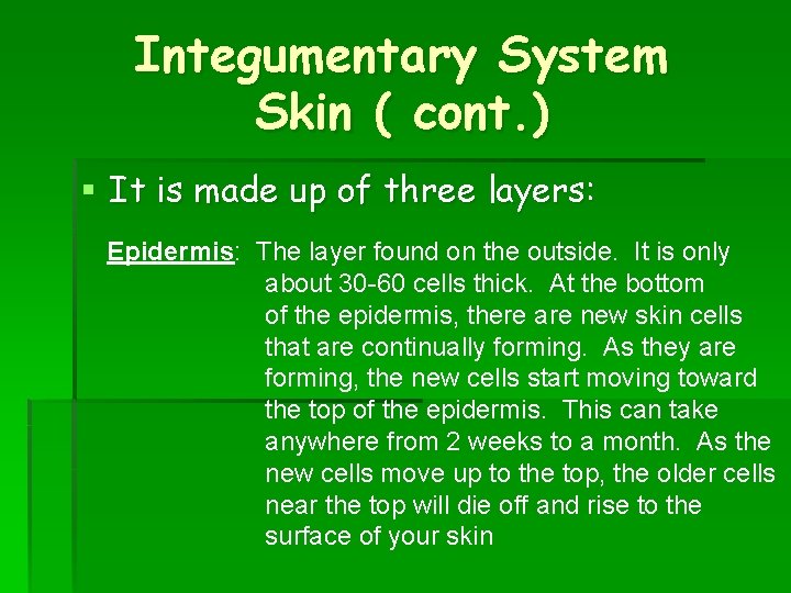 Integumentary System Skin ( cont. ) § It is made up of three layers: