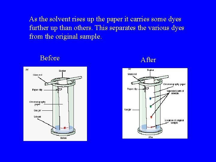 As the solvent rises up the paper it carries some dyes further up than