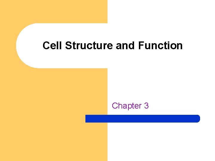 Cell Structure and Function Chapter 3 The Cell