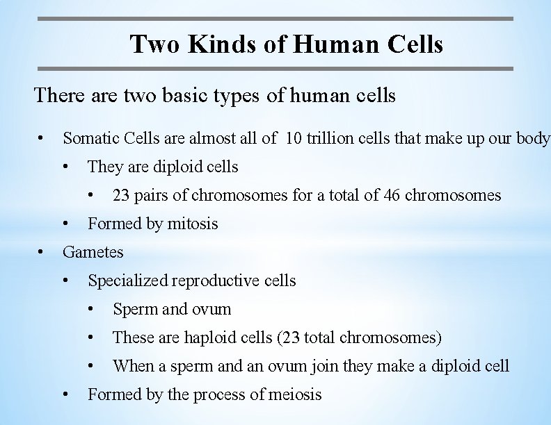 Two Kinds of Human Cells There are two basic types of human cells •