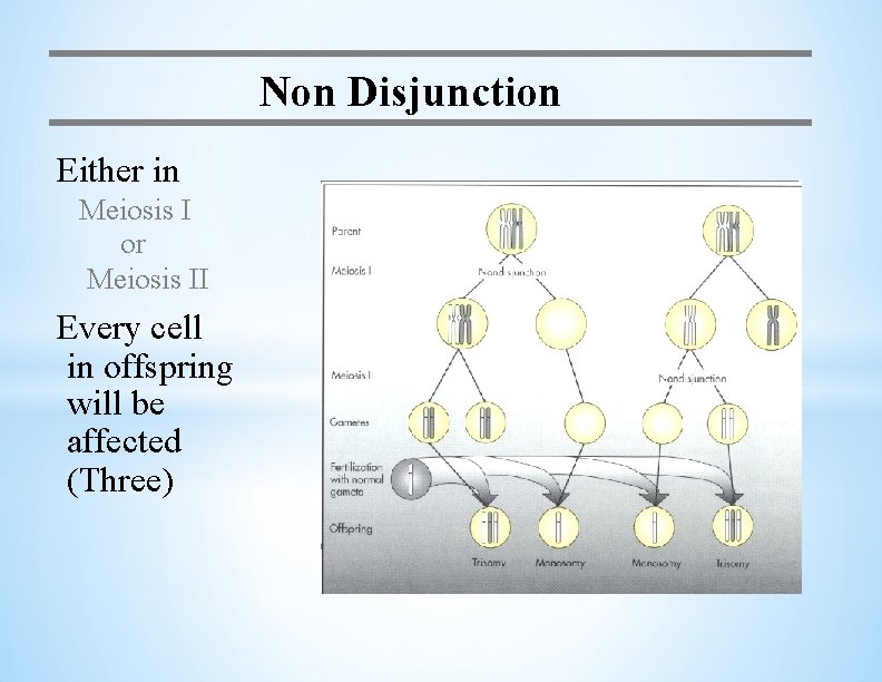 Non Disjunction Either in Meiosis I or Meiosis II Every cell in offspring will