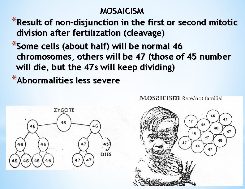 MOSAICISM *Result of non-disjunction in the first or second mitotic division after fertilization (cleavage)