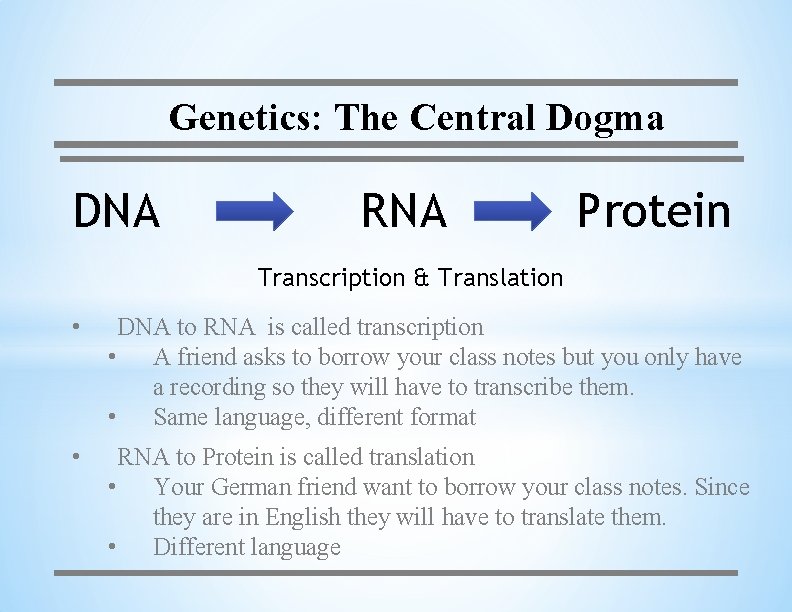Genetics: The Central Dogma DNA RNA Protein Transcription & Translation • DNA to RNA
