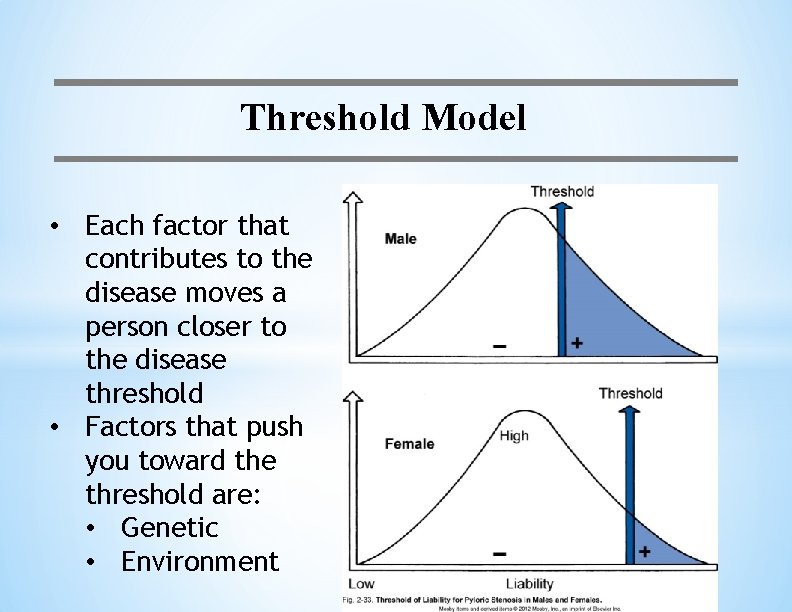 Threshold Model • Each factor that contributes to the disease moves a person closer