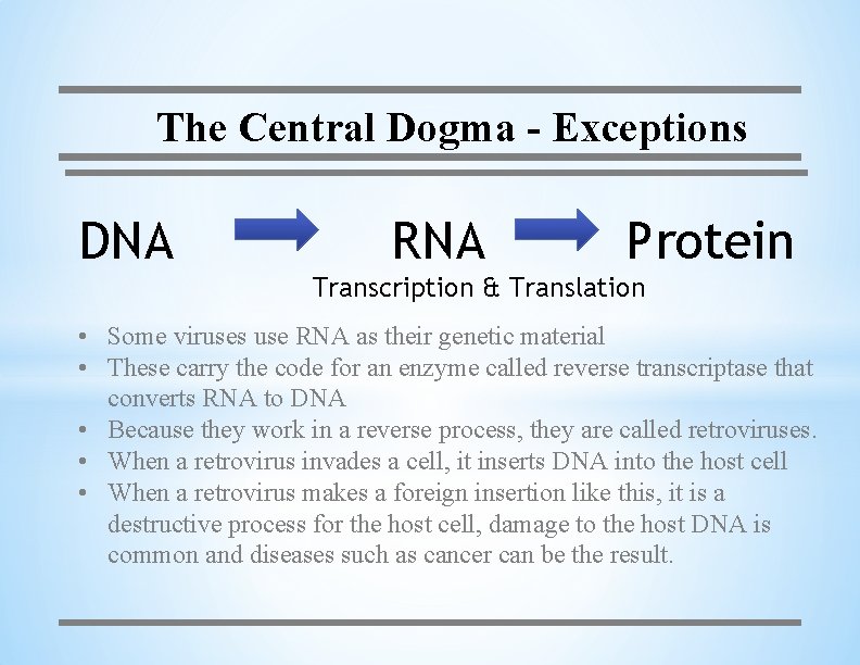 The Central Dogma - Exceptions DNA RNA Protein Transcription & Translation • Some viruses