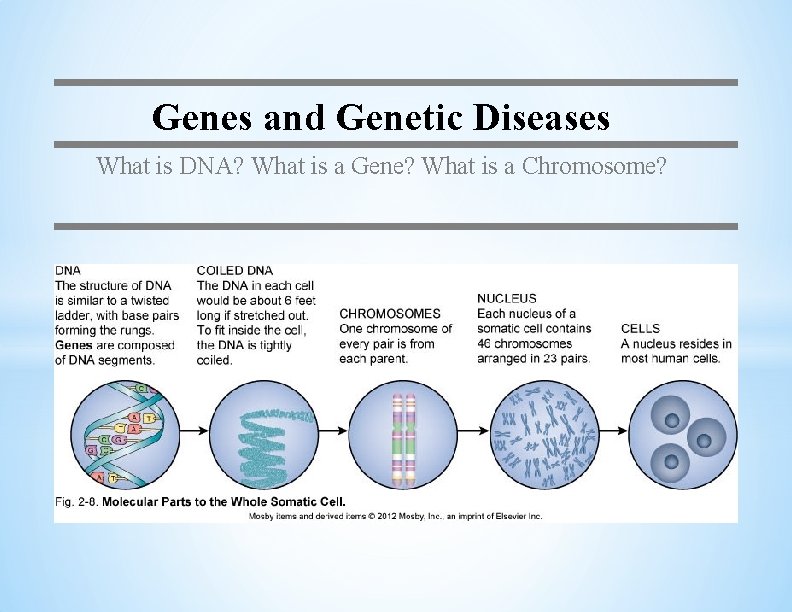 Genes and Genetic Diseases What is DNA? What is a Gene? What is a