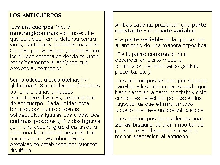 26 LOS ANTICUERPOS Los anticuerpos (Ac) o inmunoglobulinas son moléculas que participan en la