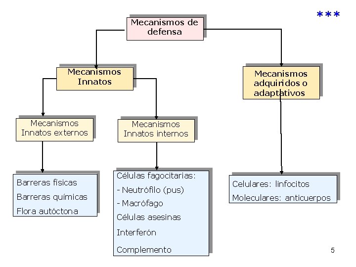 *** Mecanismos de defensa Mecanismos Innatos externos Barreras físicas Barreras químicas Flora autóctona Mecanismos