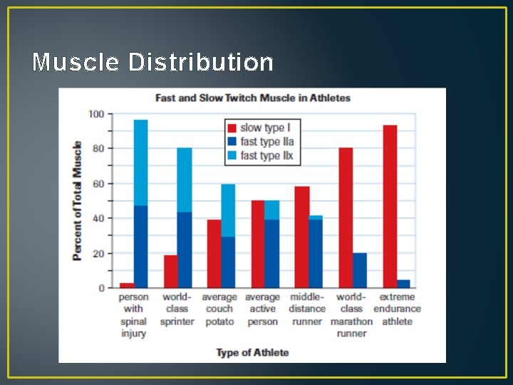 Muscle Distribution 