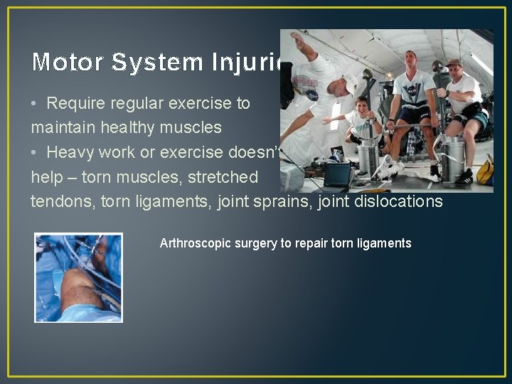 Motor System Injuries • Require regular exercise to maintain healthy muscles • Heavy work