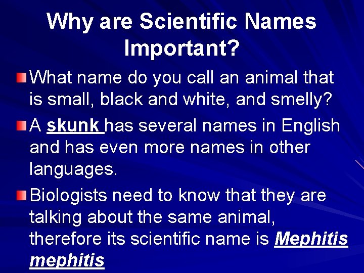 Why are Scientific Names Important? What name do you call an animal that is