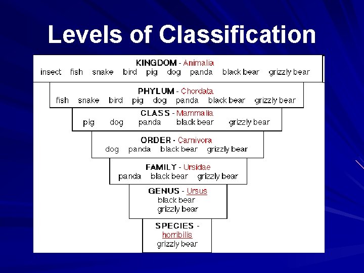 Levels of Classification 