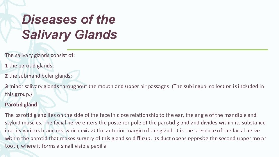 Diseases of the Salivary Glands The salivary glands consist of: 1 the parotid glands;