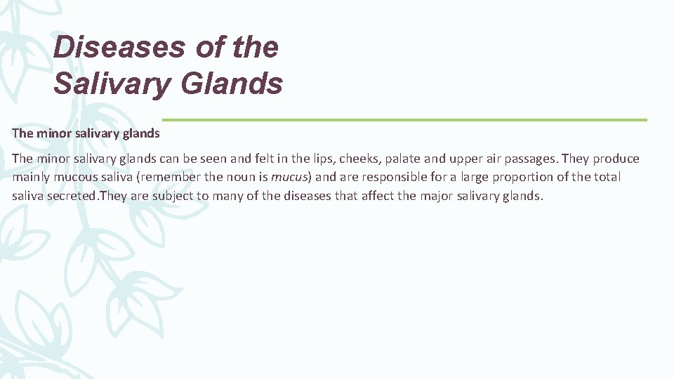 Diseases of the Salivary Glands The minor salivary glands can be seen and felt