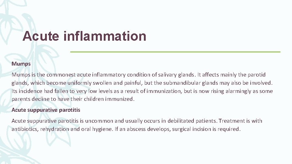Acute inflammation Mumps is the commonest acute inflammatory condition of salivary glands. It affects