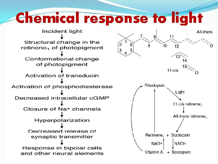Chemical response to light 