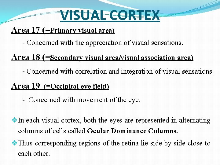 VISUAL CORTEX Area 17 (=Primary visual area) - Concerned with the appreciation of visual