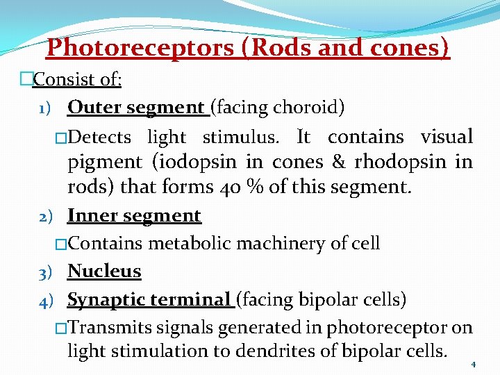 Photoreceptors (Rods and cones) �Consist of: 1) Outer segment (facing choroid) �Detects light stimulus.