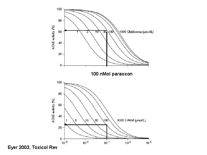 100 n. Mol paraoxon Eyer 2003, Toxicol Rev 