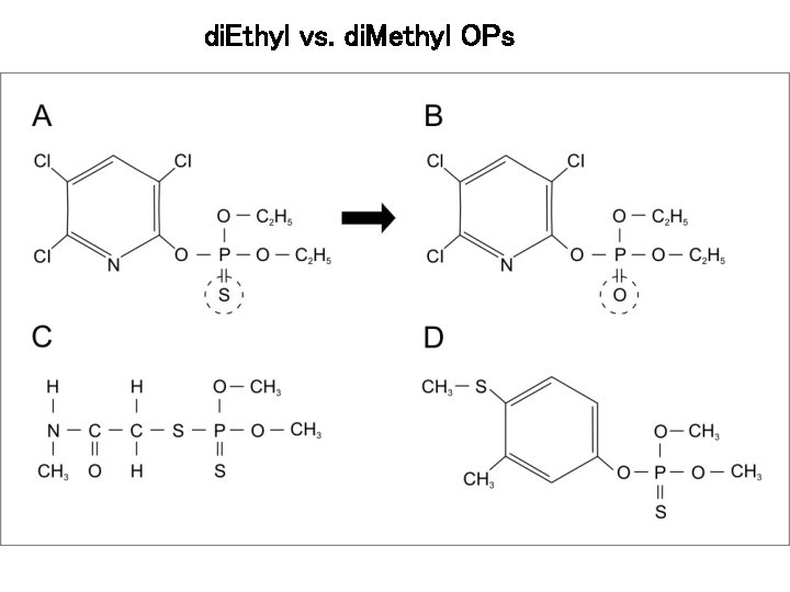 di. Ethyl vs. di. Methyl OPs 