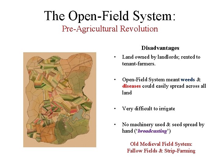 The Open-Field System: Pre-Agricultural Revolution Disadvantages • Land owned by landlords; rented to tenant-farmers.