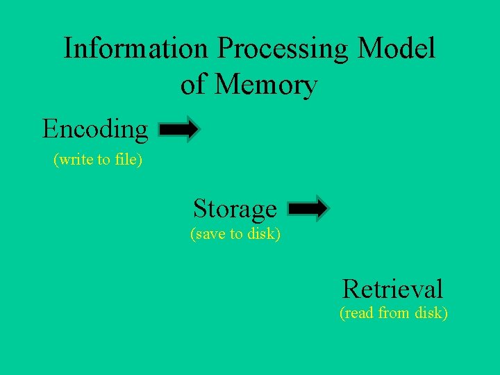 Information Processing Model of Memory Encoding (write to file) Storage (save to disk) Retrieval