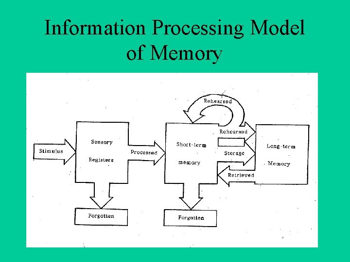 Information Processing Model of Memory 