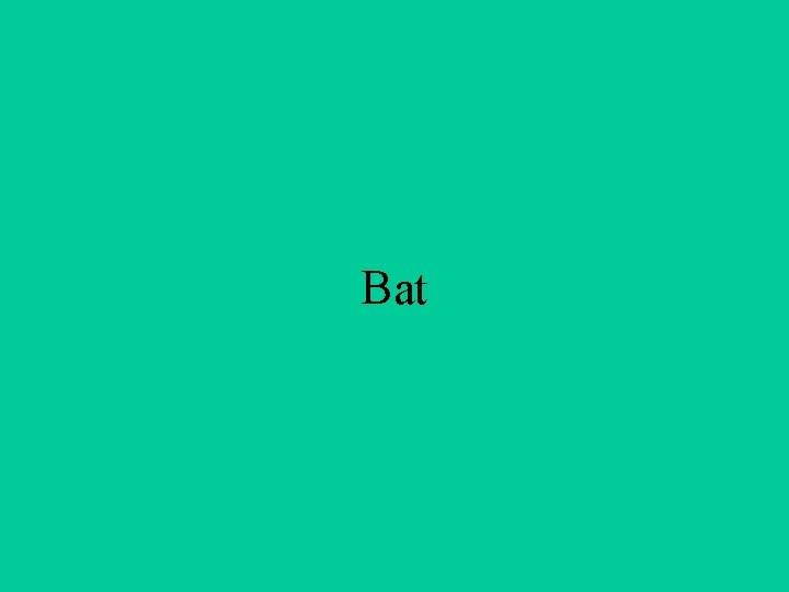 Bat 