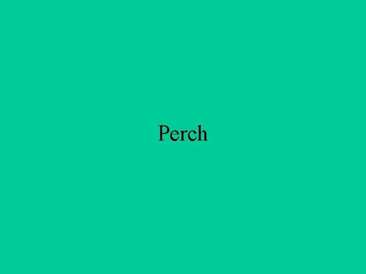Perch 