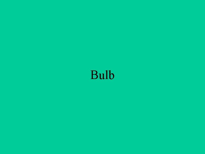 Bulb 