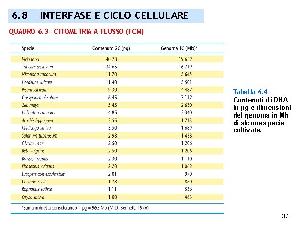 6. 8 INTERFASE E CICLO CELLULARE QUADRO 6. 3 – CITOMETRIA A FLUSSO (FCM)