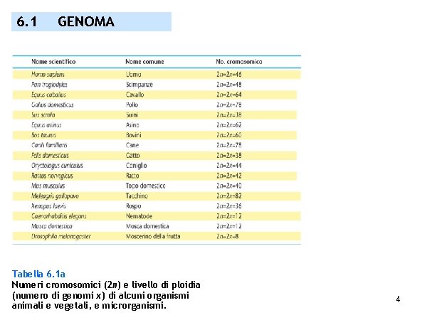 6. 1 GENOMA Tabella 6. 1 a Numeri cromosomici (2 n) e livello di