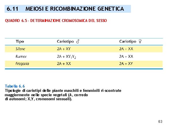 6. 11 MEIOSI E RICOMBINAZIONE GENETICA QUADRO 6. 5 – DETERMINAZIONE CROMOSOMICA DEL SESSO