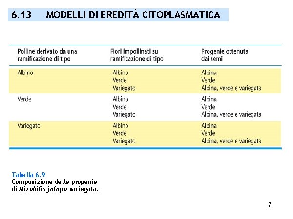 6. 13 MODELLI DI EREDITÀ CITOPLASMATICA Tabella 6. 9 Composizione delle progenie di Mirabilis