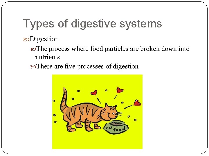 Types of digestive systems Digestion The process where food particles are broken down into