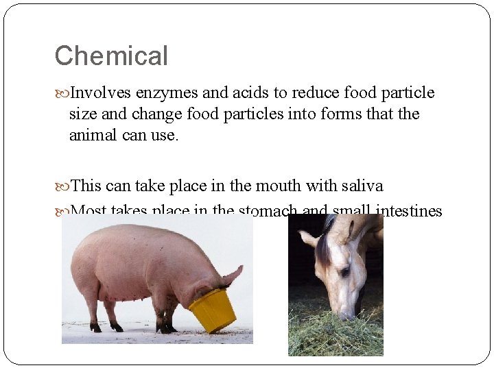 Chemical Involves enzymes and acids to reduce food particle size and change food particles