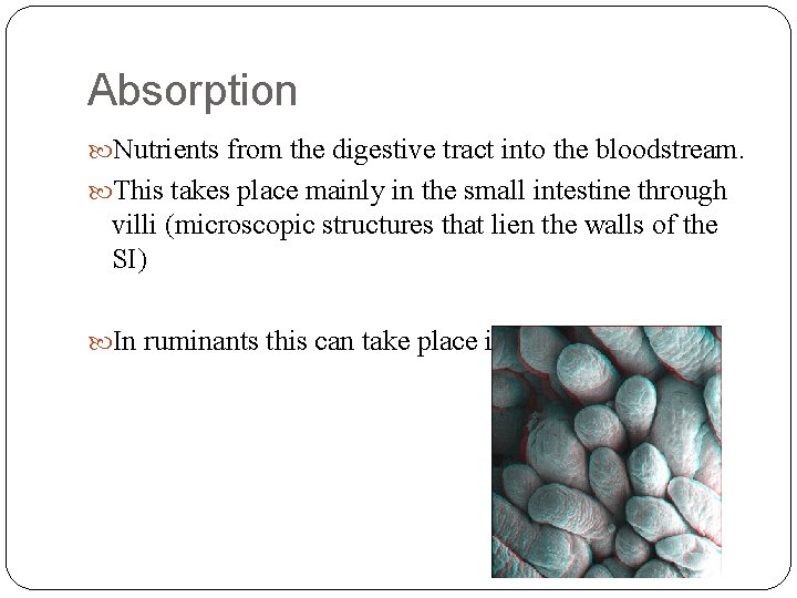 Absorption Nutrients from the digestive tract into the bloodstream. This takes place mainly in