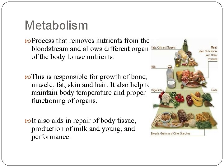 Metabolism Process that removes nutrients from the bloodstream and allows different organs of the