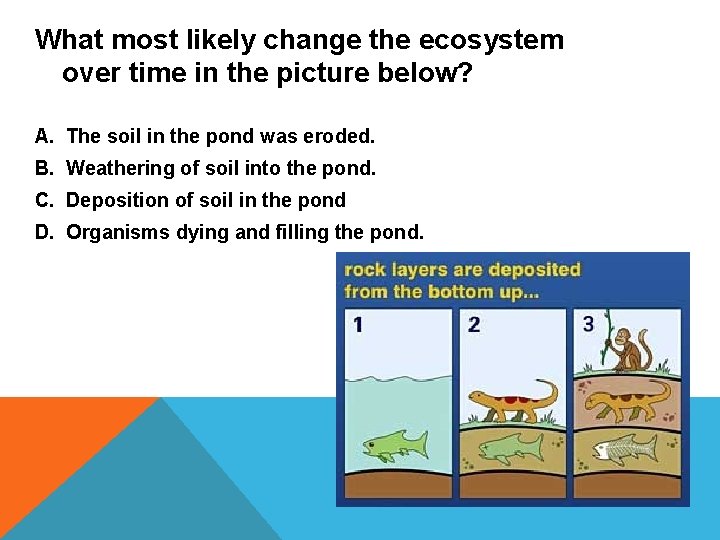 What most likely change the ecosystem over time in the picture below? A. The