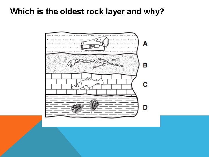 Which is the oldest rock layer and why? 