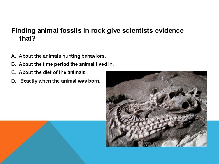 Finding animal fossils in rock give scientists evidence that? A. About the animals hunting