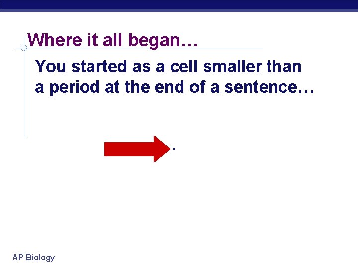 Where it all began… You started as a cell smaller than a period at