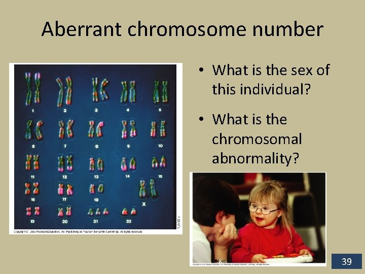 Aberrant chromosome number • What is the sex of this individual? • What is