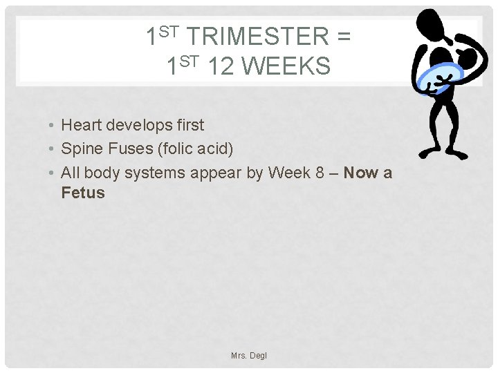 1 ST TRIMESTER = 1 ST 12 WEEKS • Heart develops first • Spine