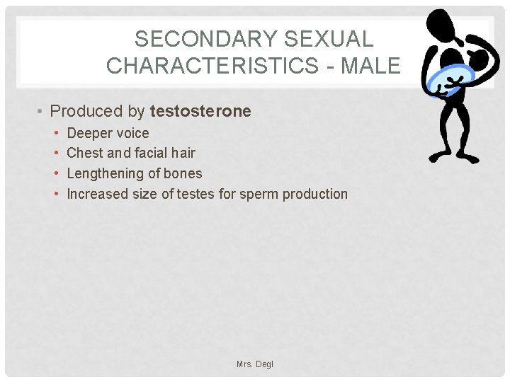 SECONDARY SEXUAL CHARACTERISTICS - MALE • Produced by testosterone • • Deeper voice Chest